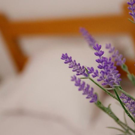 سوبوتيتْسا Guesthouse Night&Day المظهر الخارجي الصورة